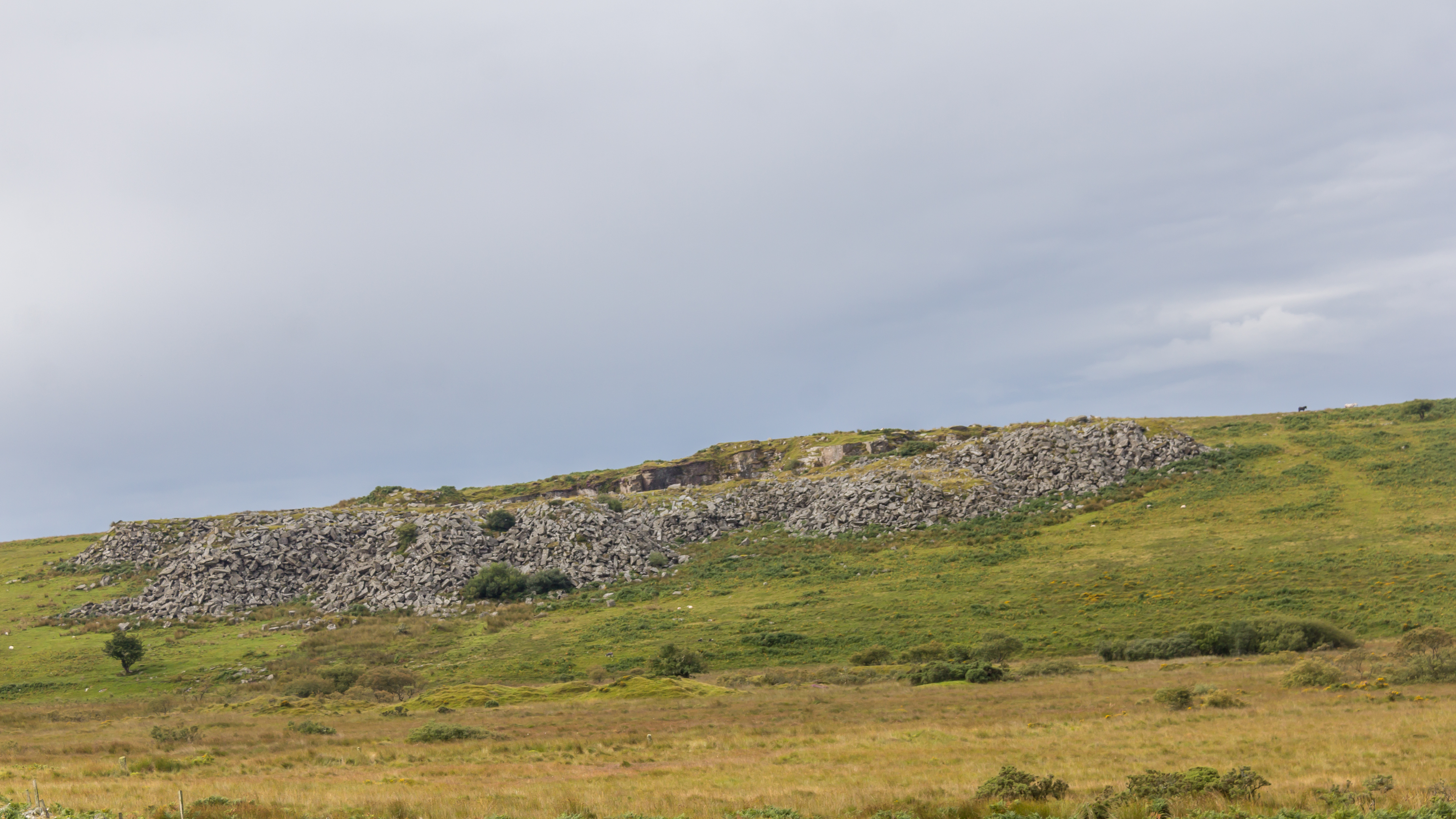 Bodmin Moor landscape in Cornwall
