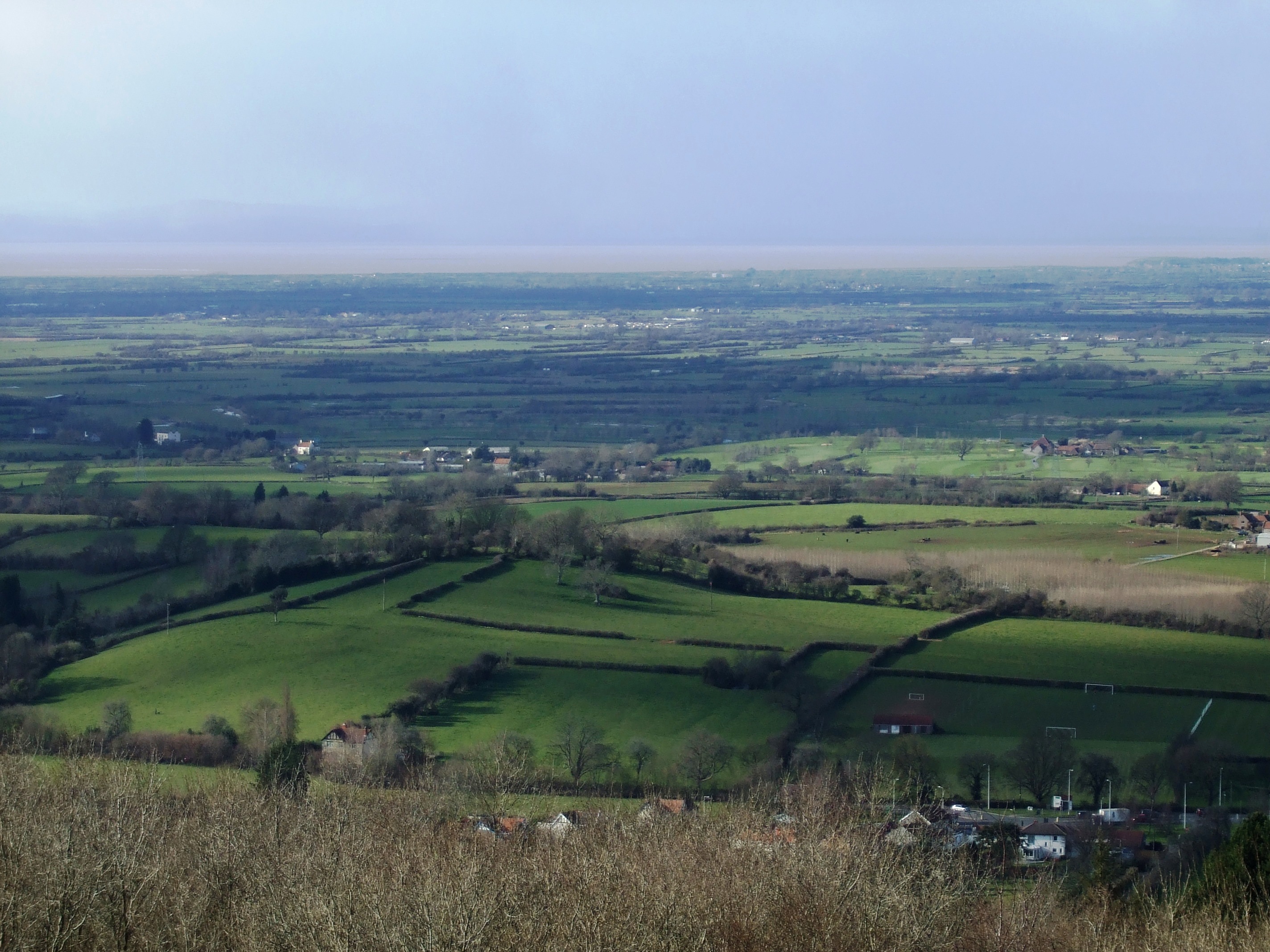Somerset Levels landscape